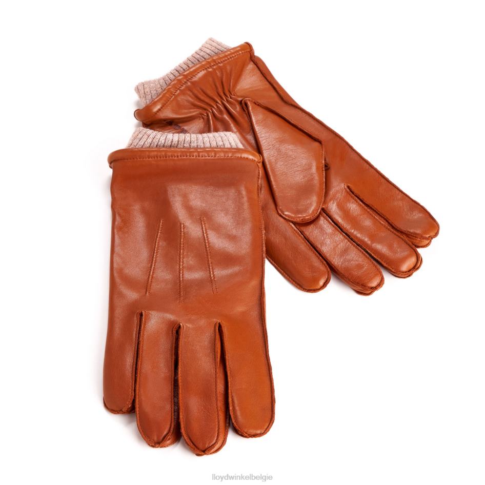 leren handschoenen Heren LLOYD bruin accessoires ZJ6BL709