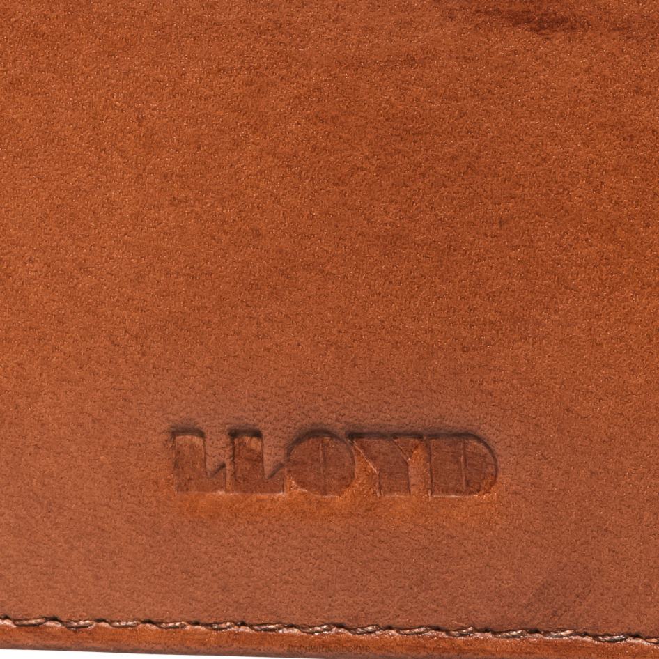 creditcard geval Heren LLOYD bruin accessoires ZJ6BL661