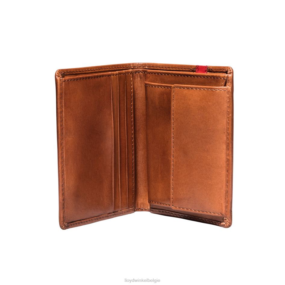 zak Heren LLOYD bruin accessoires ZJ6BL656