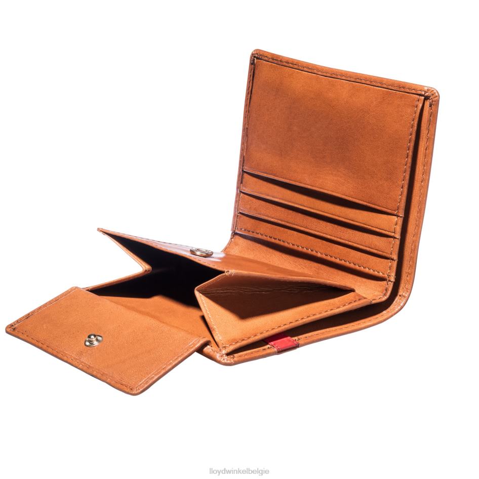 zak Heren LLOYD bruin accessoires ZJ6BL656