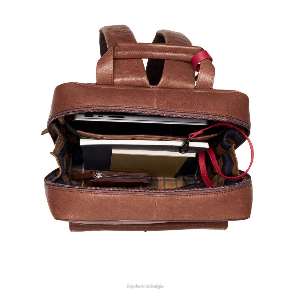 rugzak Heren LLOYD bruin accessoires ZJ6BL651