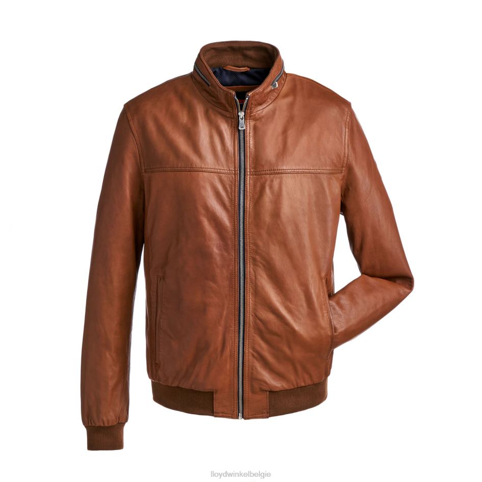 Marlon Heren LLOYD bruin kleding ZJ6BL630