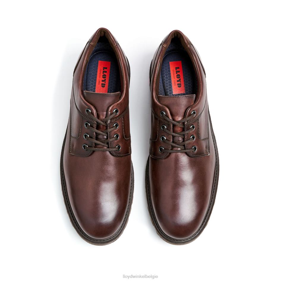 Dalton Heren LLOYD bruin schoenen ZJ6BL39