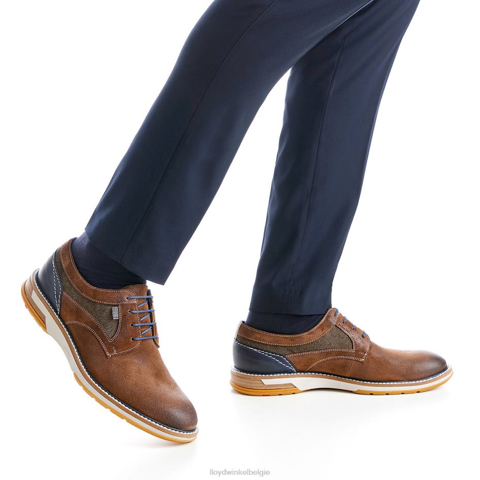 Darris Heren LLOYD bruin schoenen ZJ6BL588