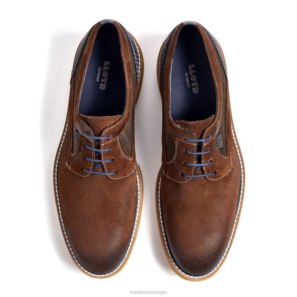 Darris Heren LLOYD bruin schoenen ZJ6BL588