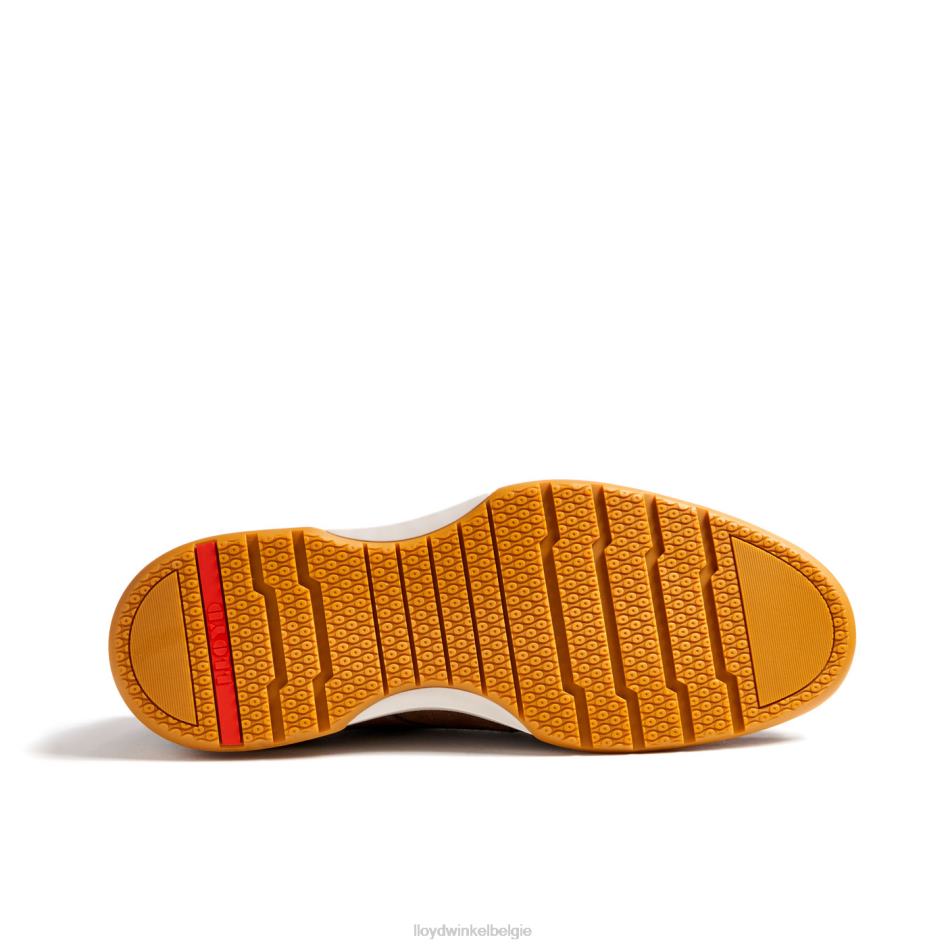 Darris Heren LLOYD bruin schoenen ZJ6BL588