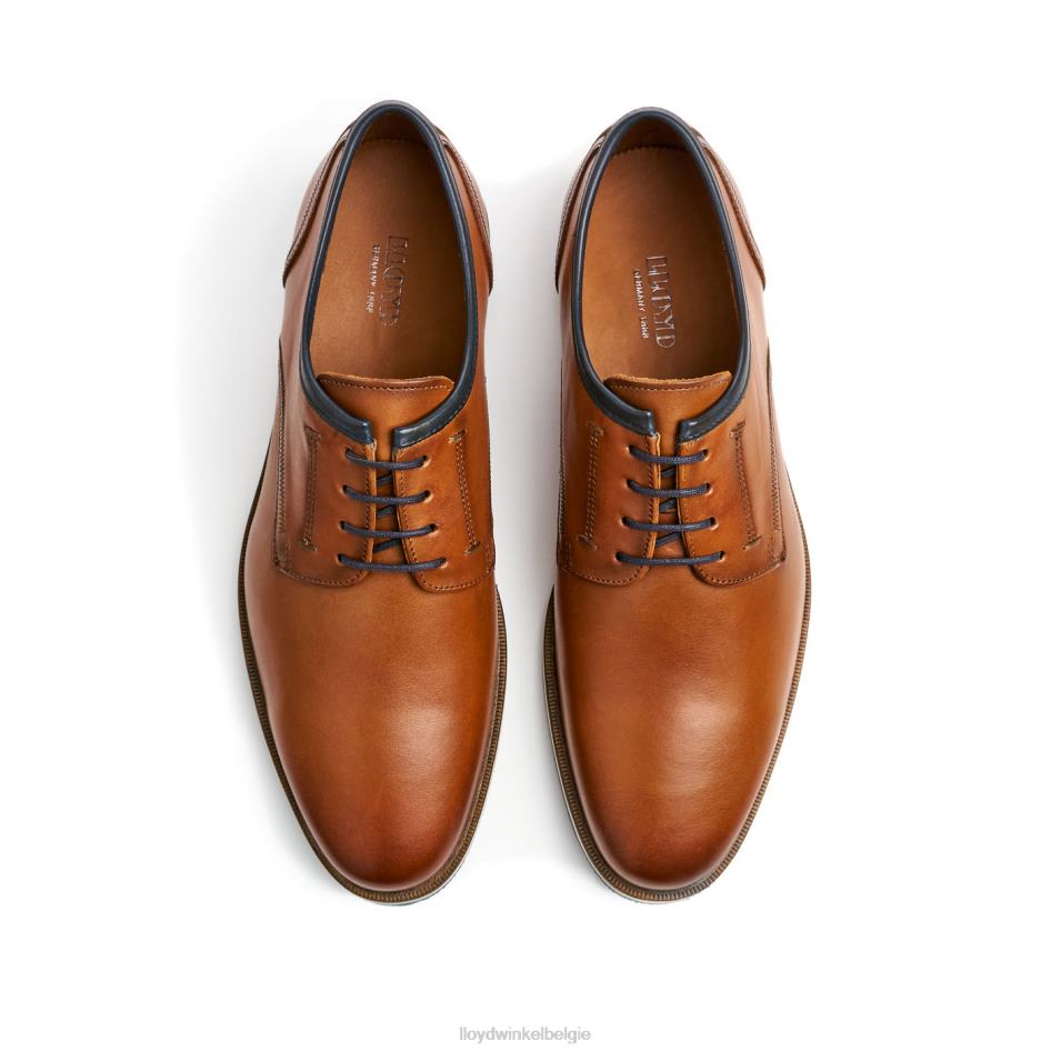 Detroit Heren LLOYD bruin schoenen ZJ6BL113