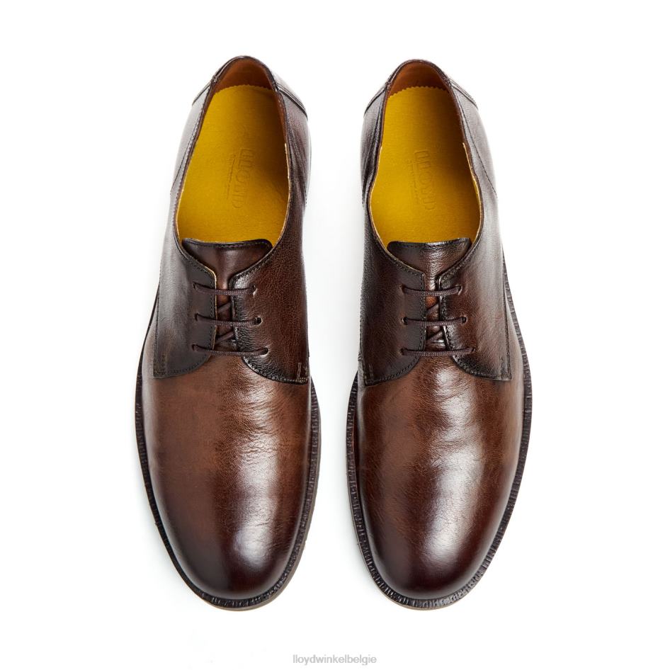 Dorian Heren LLOYD bruin schoenen ZJ6BL37