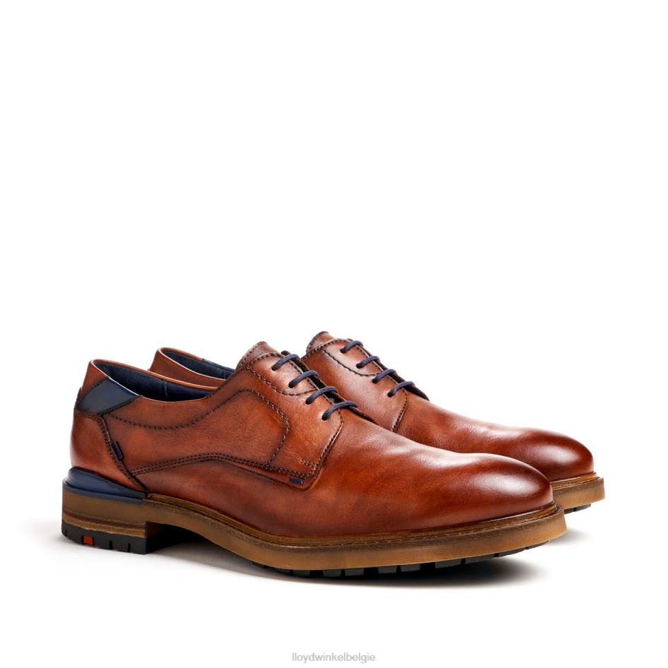 Helsinki Heren LLOYD bruin schoenen ZJ6BL586