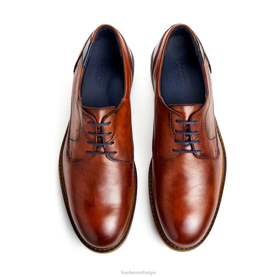 Helsinki Heren LLOYD bruin schoenen ZJ6BL586