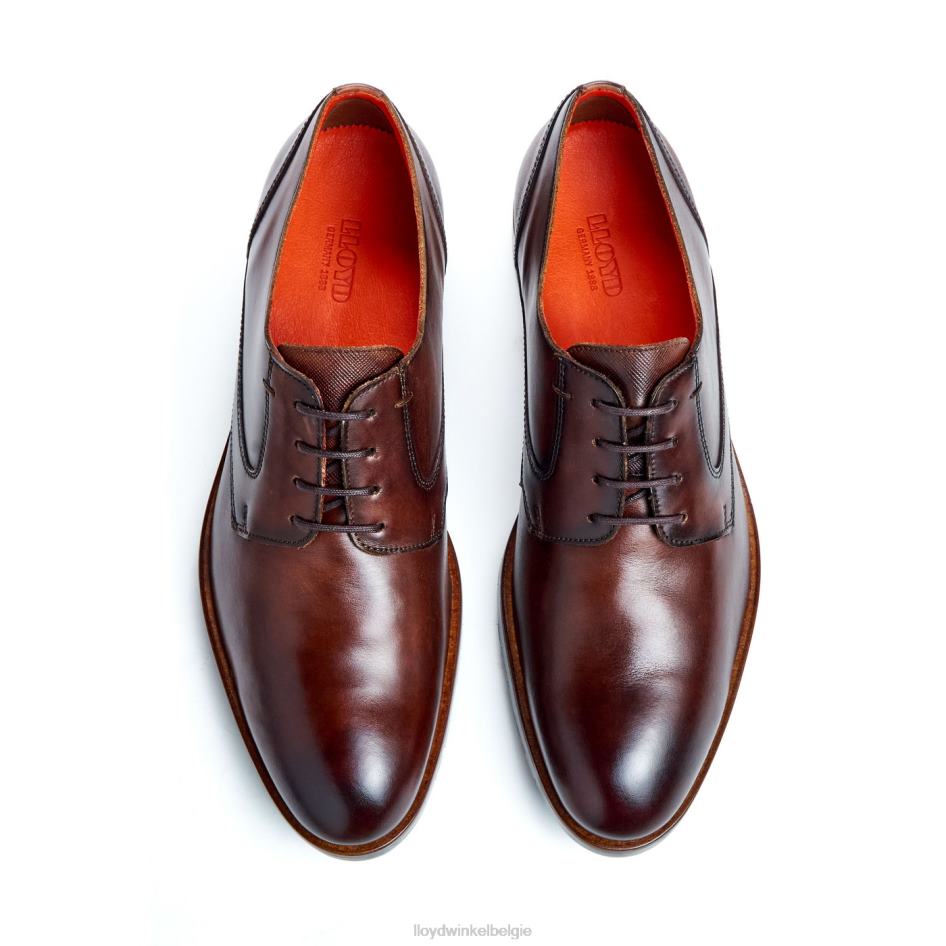 Jackson Heren LLOYD bruin schoenen ZJ6BL46