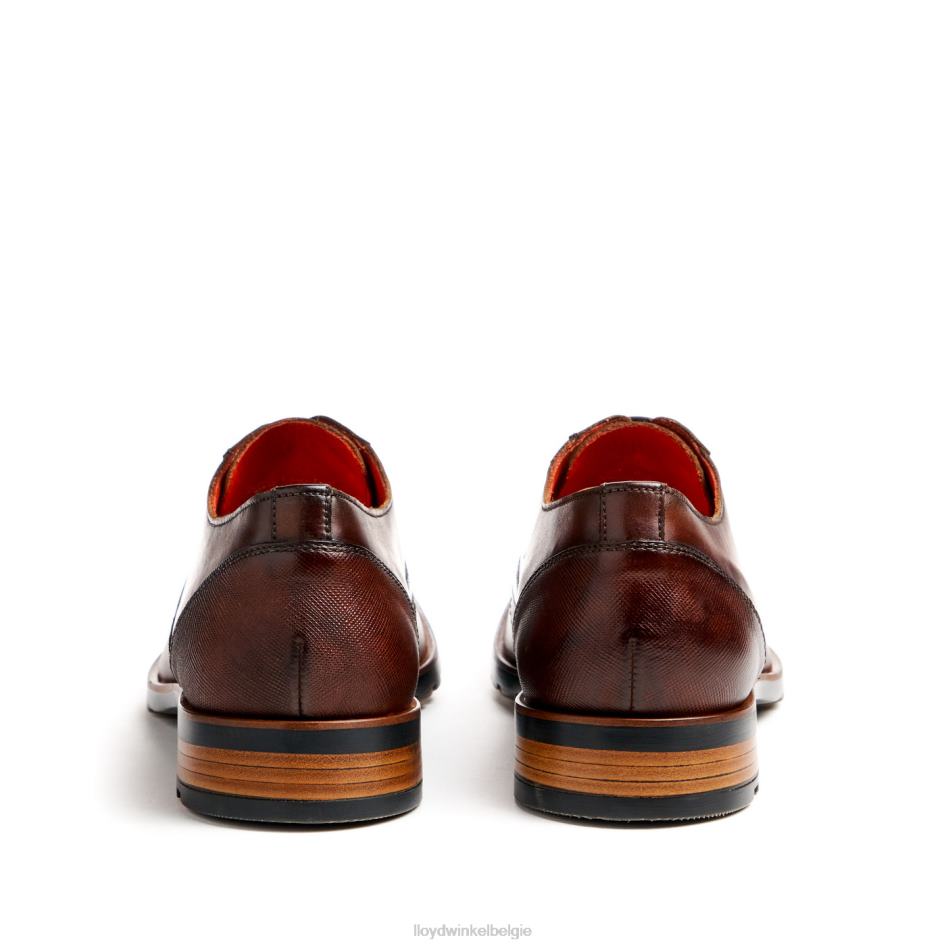 Jackson Heren LLOYD bruin schoenen ZJ6BL46