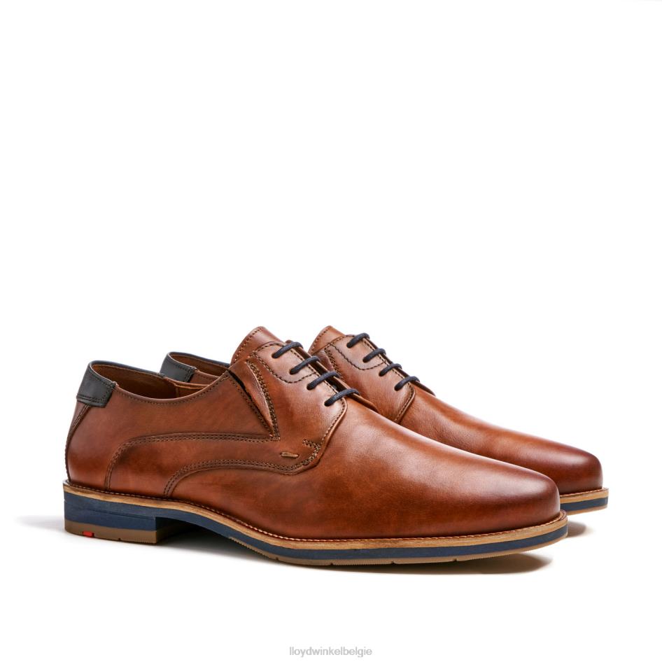 Kazan (xtrabreed) Heren LLOYD bruin schoenen ZJ6BL110