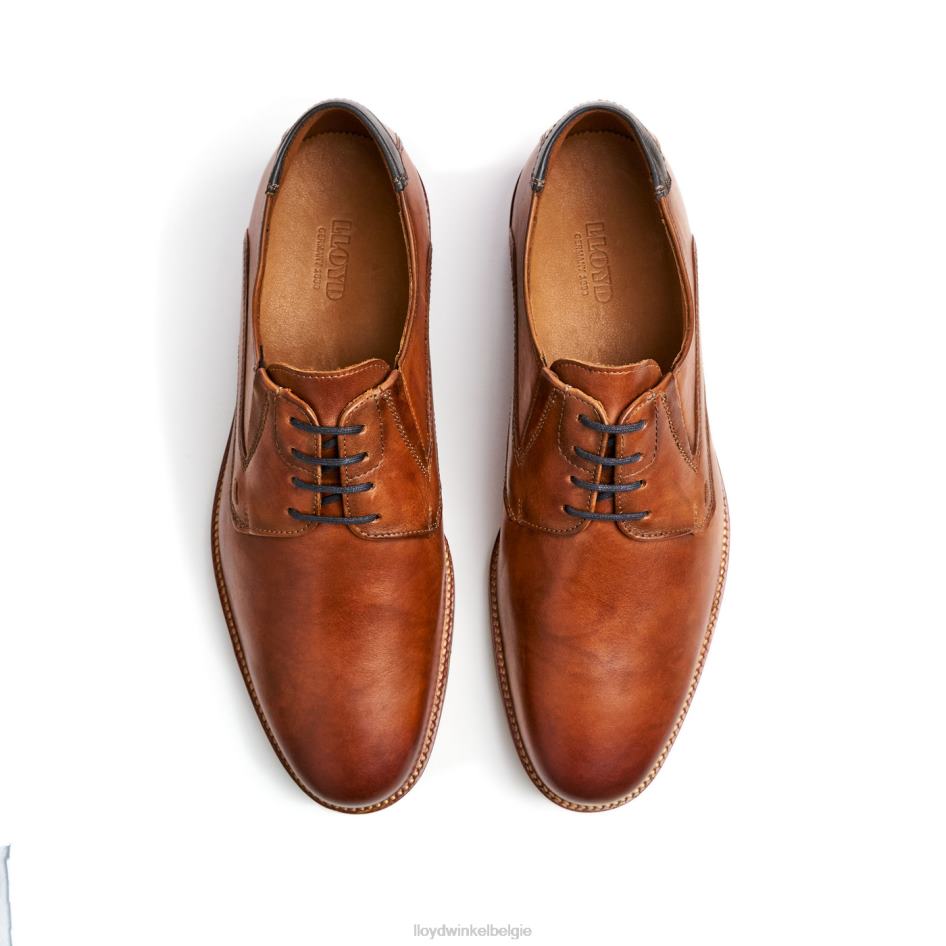 Kazan (xtrabreed) Heren LLOYD bruin schoenen ZJ6BL110