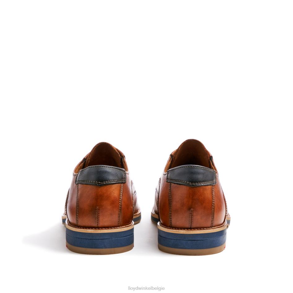 Kazan (xtrabreed) Heren LLOYD bruin schoenen ZJ6BL110