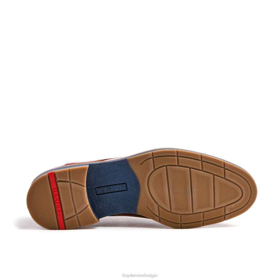 Kazan (xtrabreed) Heren LLOYD bruin schoenen ZJ6BL110