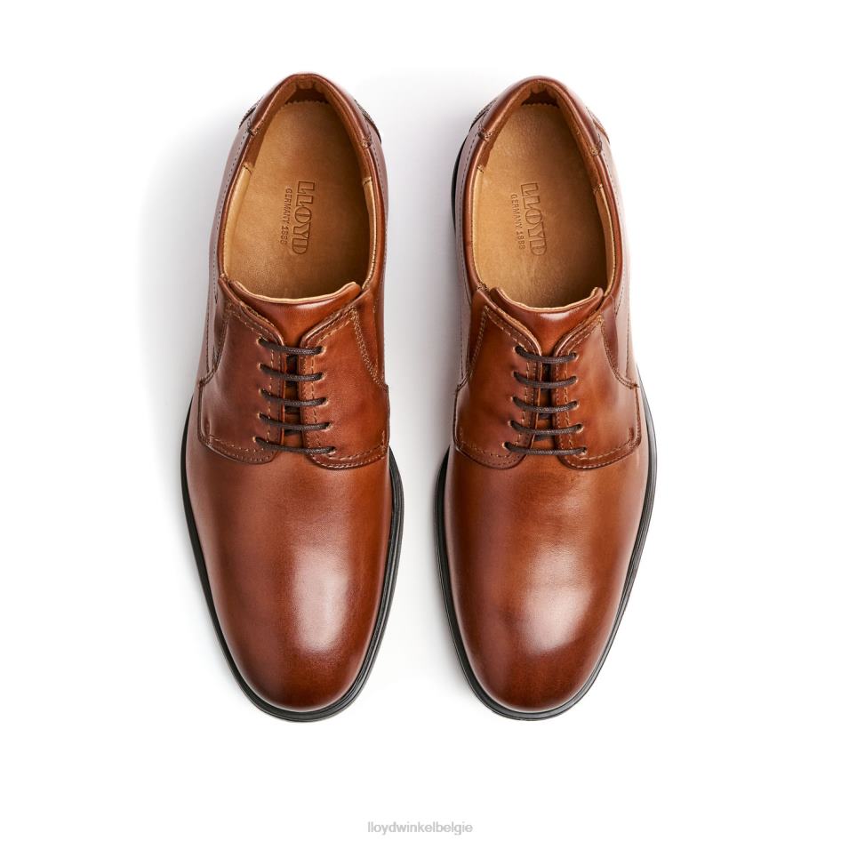 Kentucky (xtrabreed) Heren LLOYD bruin schoenen ZJ6BL120