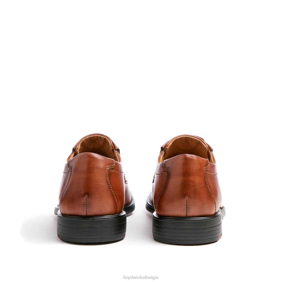 Kentucky (xtrabreed) Heren LLOYD bruin schoenen ZJ6BL120