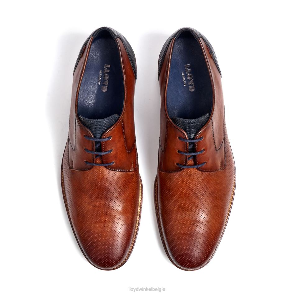 Lagos Heren LLOYD bruin schoenen ZJ6BL105