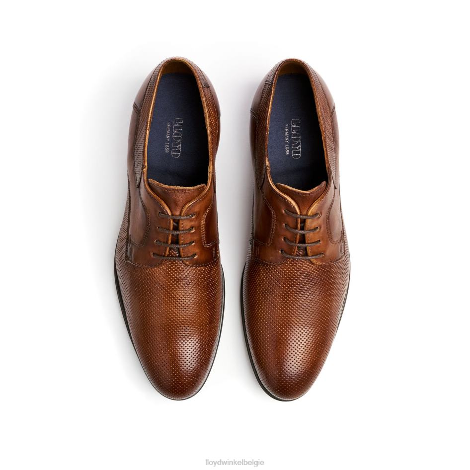 Levin Heren LLOYD bruin schoenen ZJ6BL87