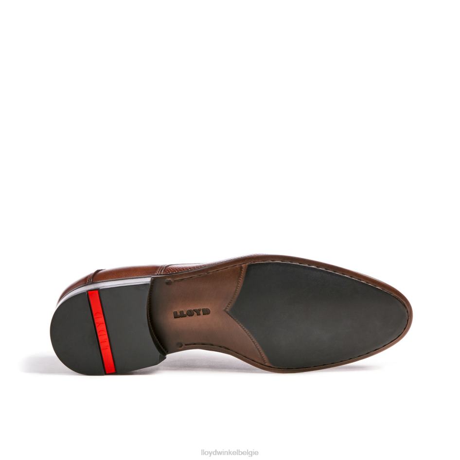 Levin Heren LLOYD bruin schoenen ZJ6BL87