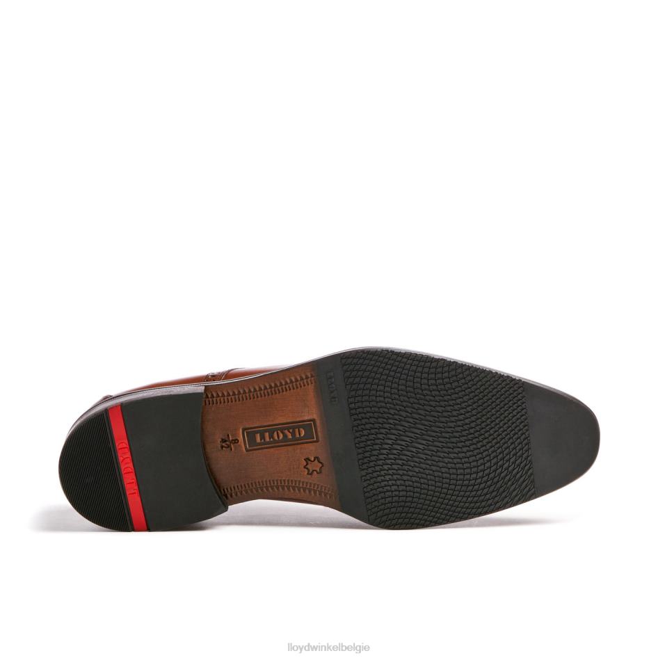 Lucien Heren LLOYD bruin schoenen ZJ6BL574