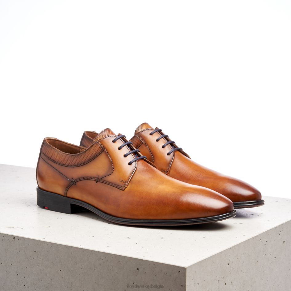 Madison Heren LLOYD bruin schoenen ZJ6BL192