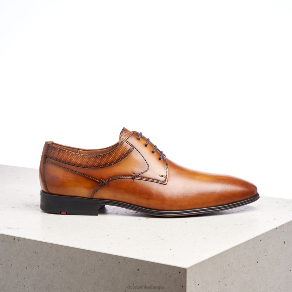 Madison Heren LLOYD bruin schoenen ZJ6BL192