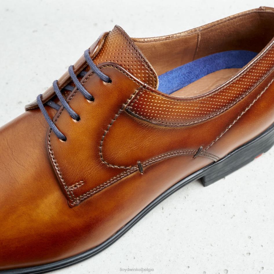 Madison Heren LLOYD bruin schoenen ZJ6BL192