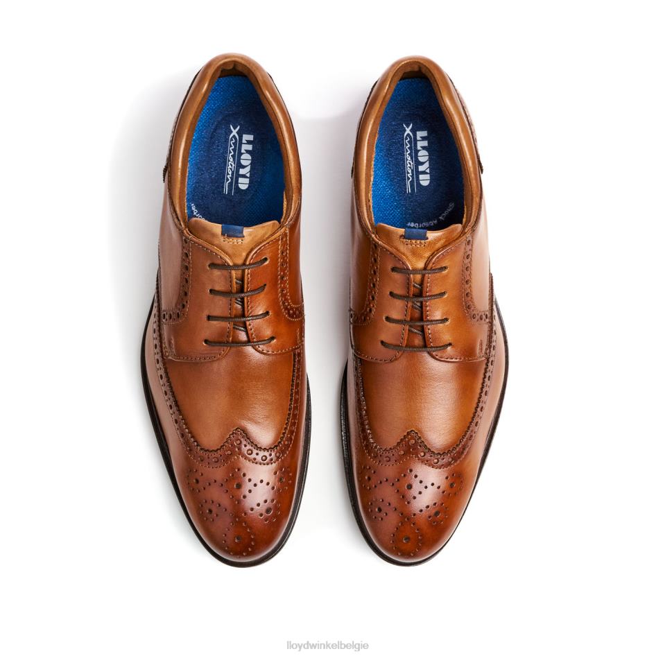 Marian Heren LLOYD bruin schoenen ZJ6BL141