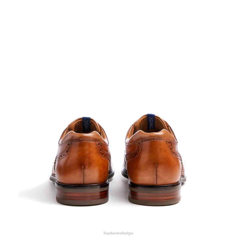 Marian Heren LLOYD bruin schoenen ZJ6BL141