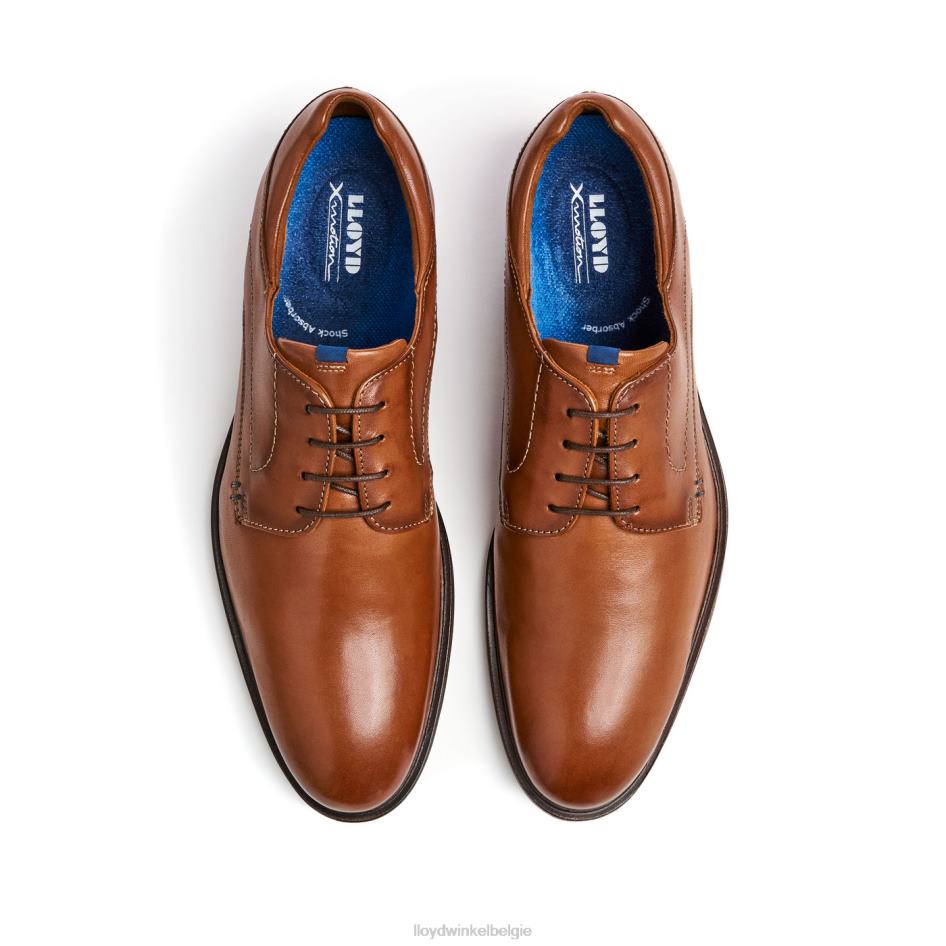 Milaan Heren LLOYD bruin schoenen ZJ6BL5