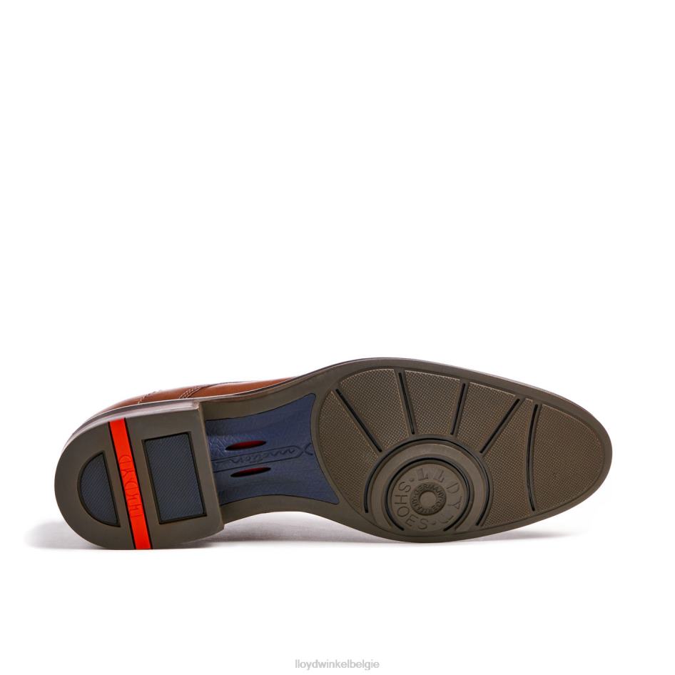 Milaan Heren LLOYD bruin schoenen ZJ6BL5