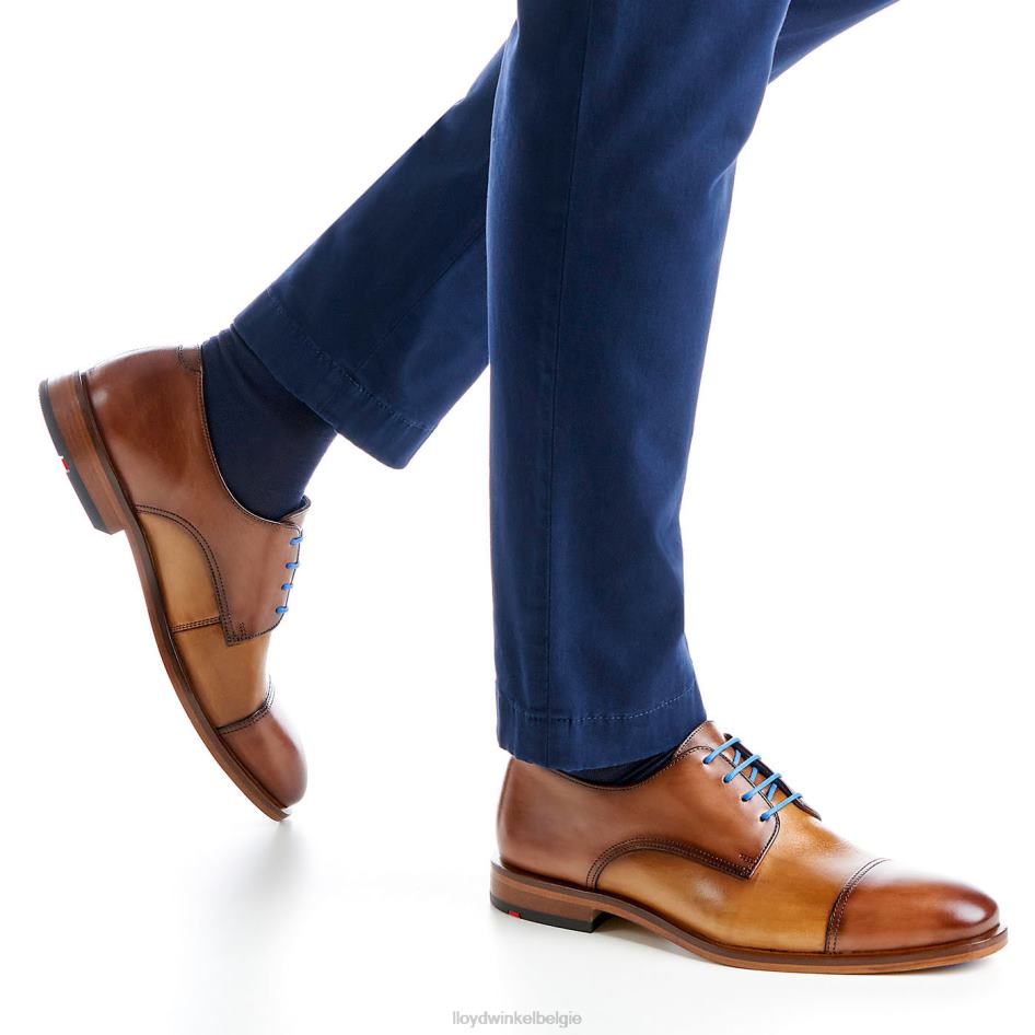 Rik Heren LLOYD bruin schoenen ZJ6BL216