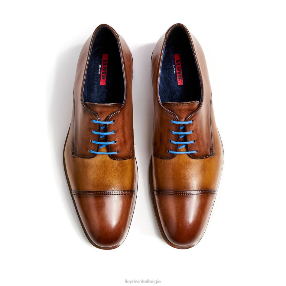 Rik Heren LLOYD bruin schoenen ZJ6BL216