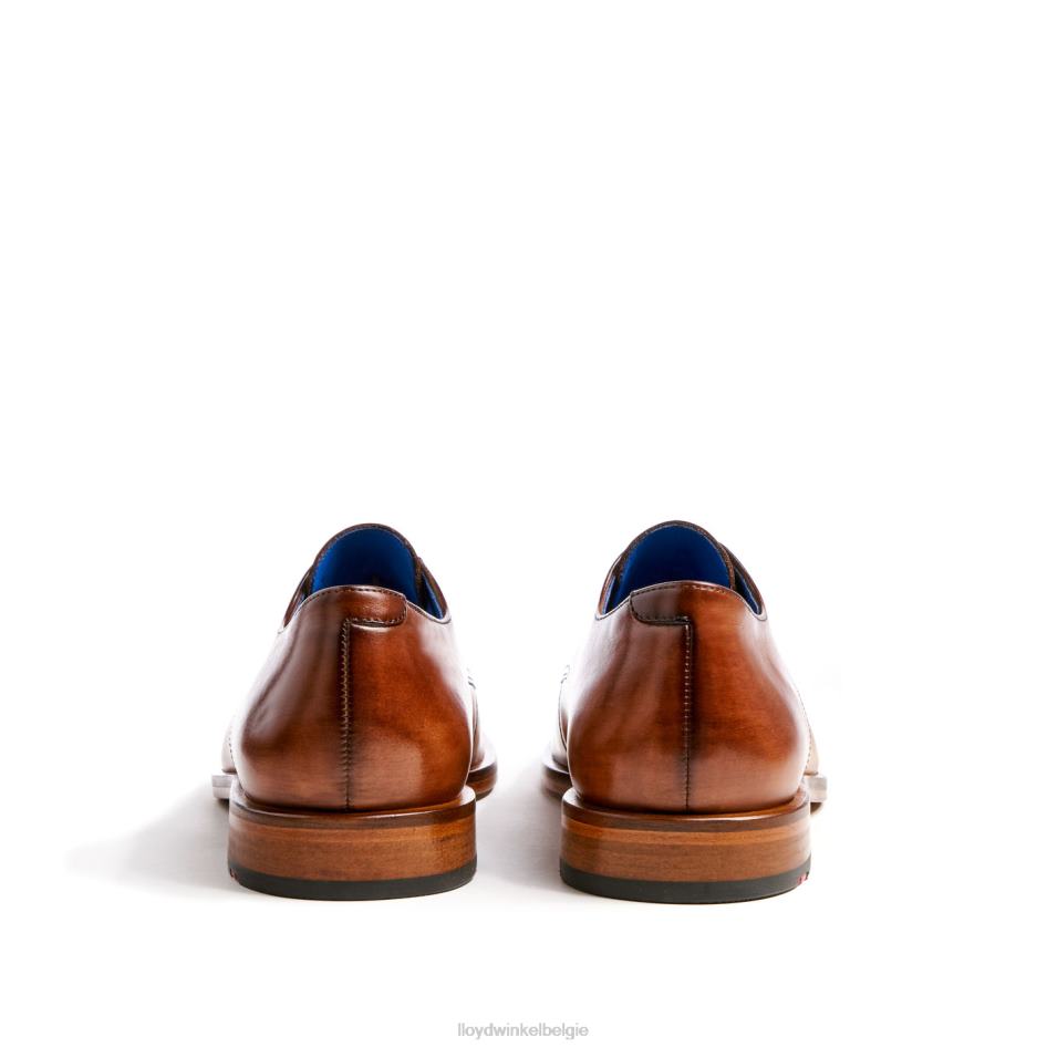 Rik Heren LLOYD bruin schoenen ZJ6BL216