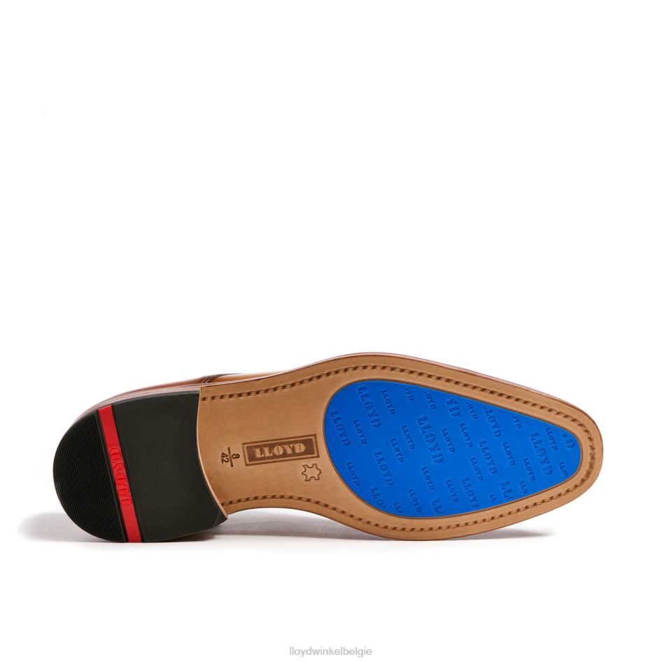 Rik Heren LLOYD bruin schoenen ZJ6BL216