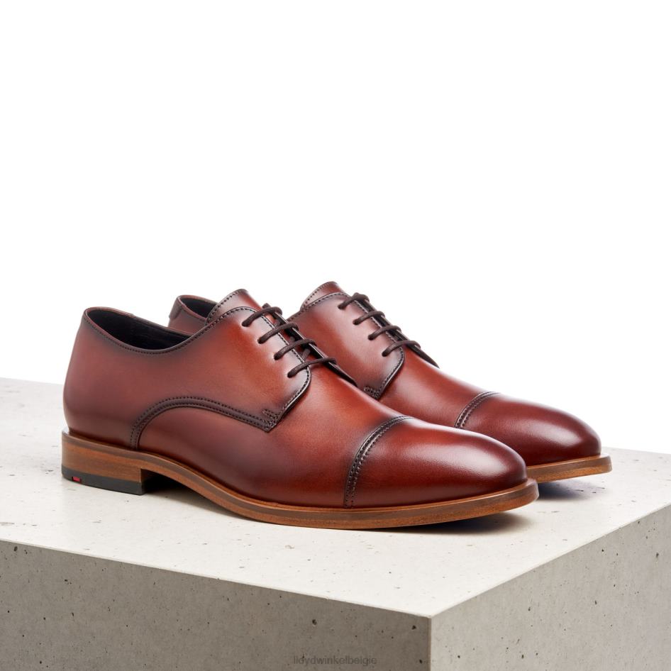 Rodney Heren LLOYD bruin schoenen ZJ6BL195