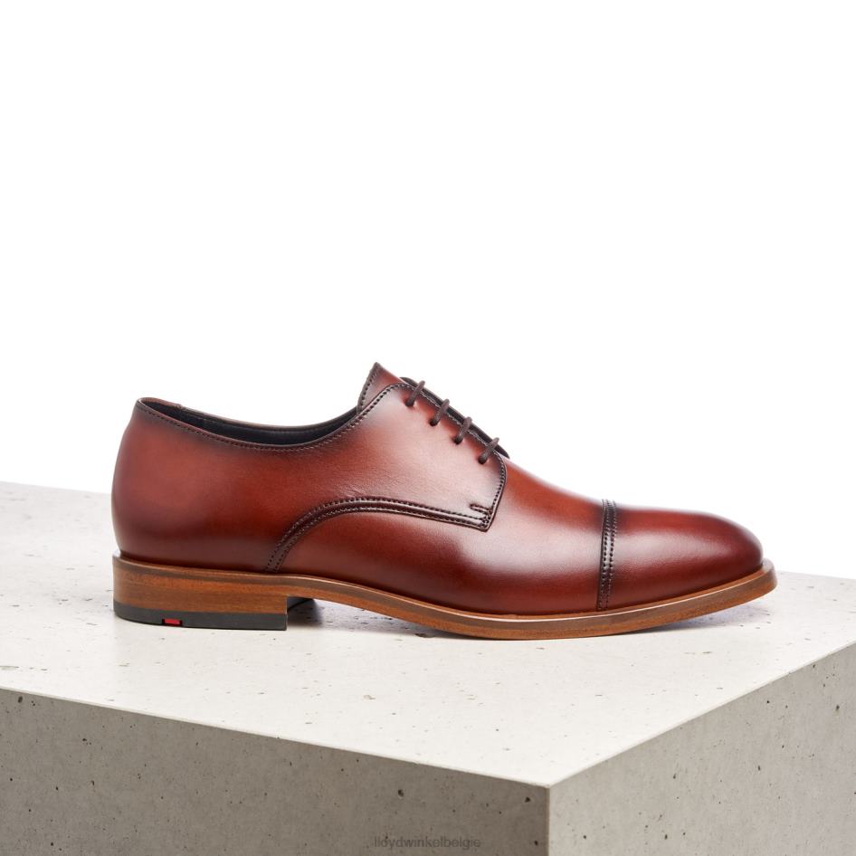 Rodney Heren LLOYD bruin schoenen ZJ6BL195