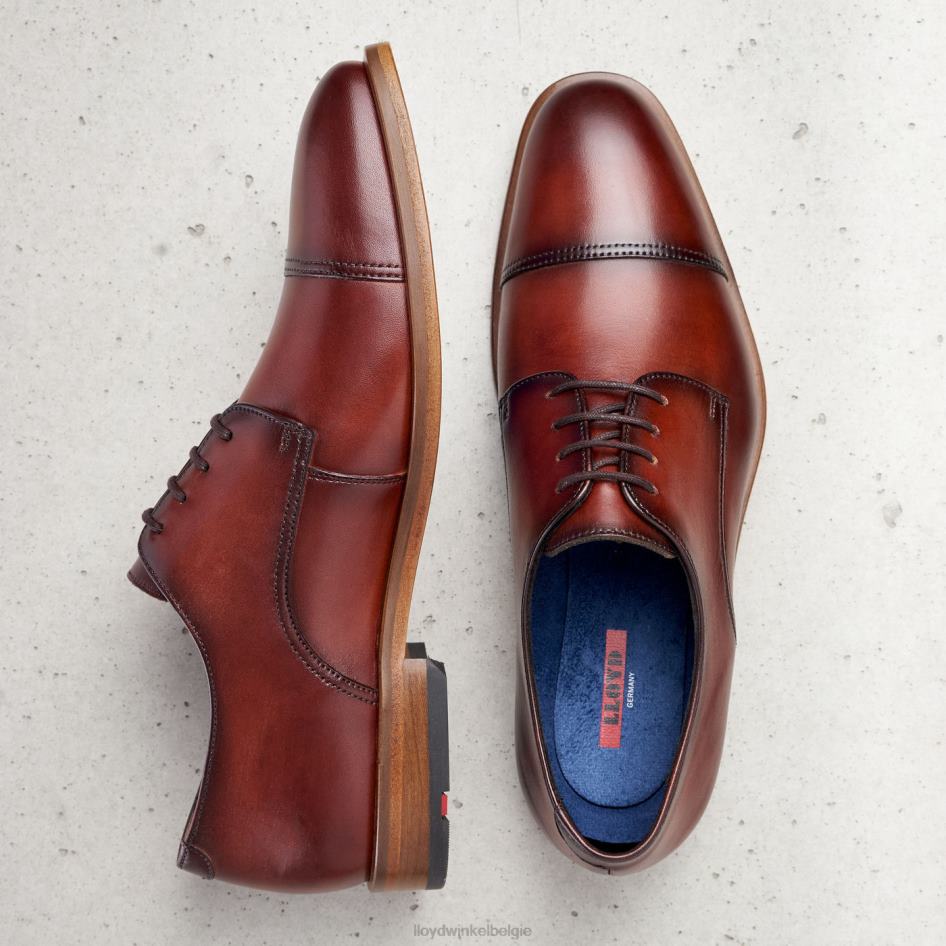 Rodney Heren LLOYD bruin schoenen ZJ6BL195