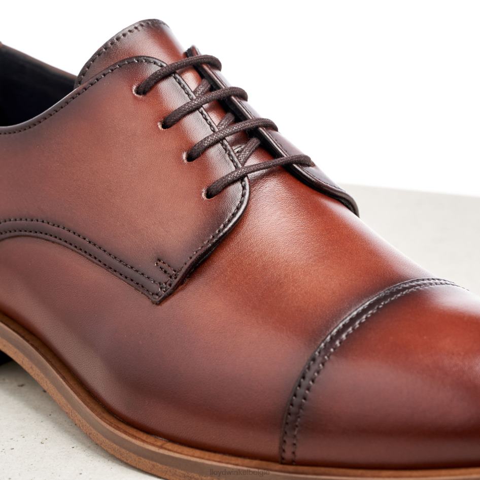 Rodney Heren LLOYD bruin schoenen ZJ6BL195