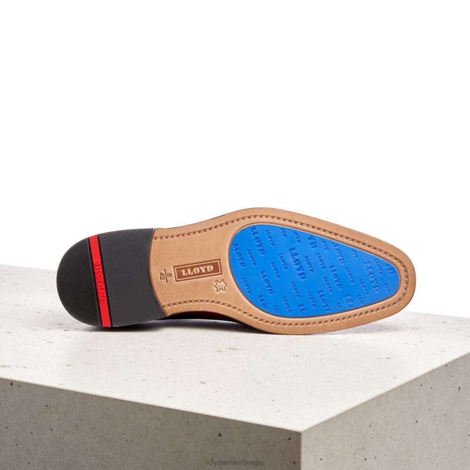 Rodney Heren LLOYD bruin schoenen ZJ6BL195