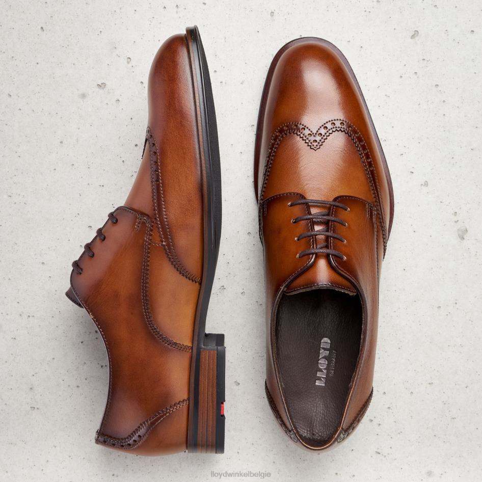 Samson Heren LLOYD bruin schoenen ZJ6BL235