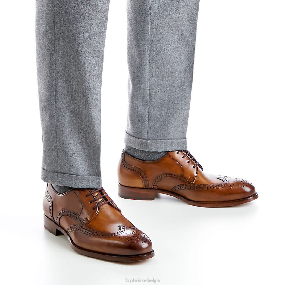 Sheridan Heren LLOYD bruin schoenen ZJ6BL205