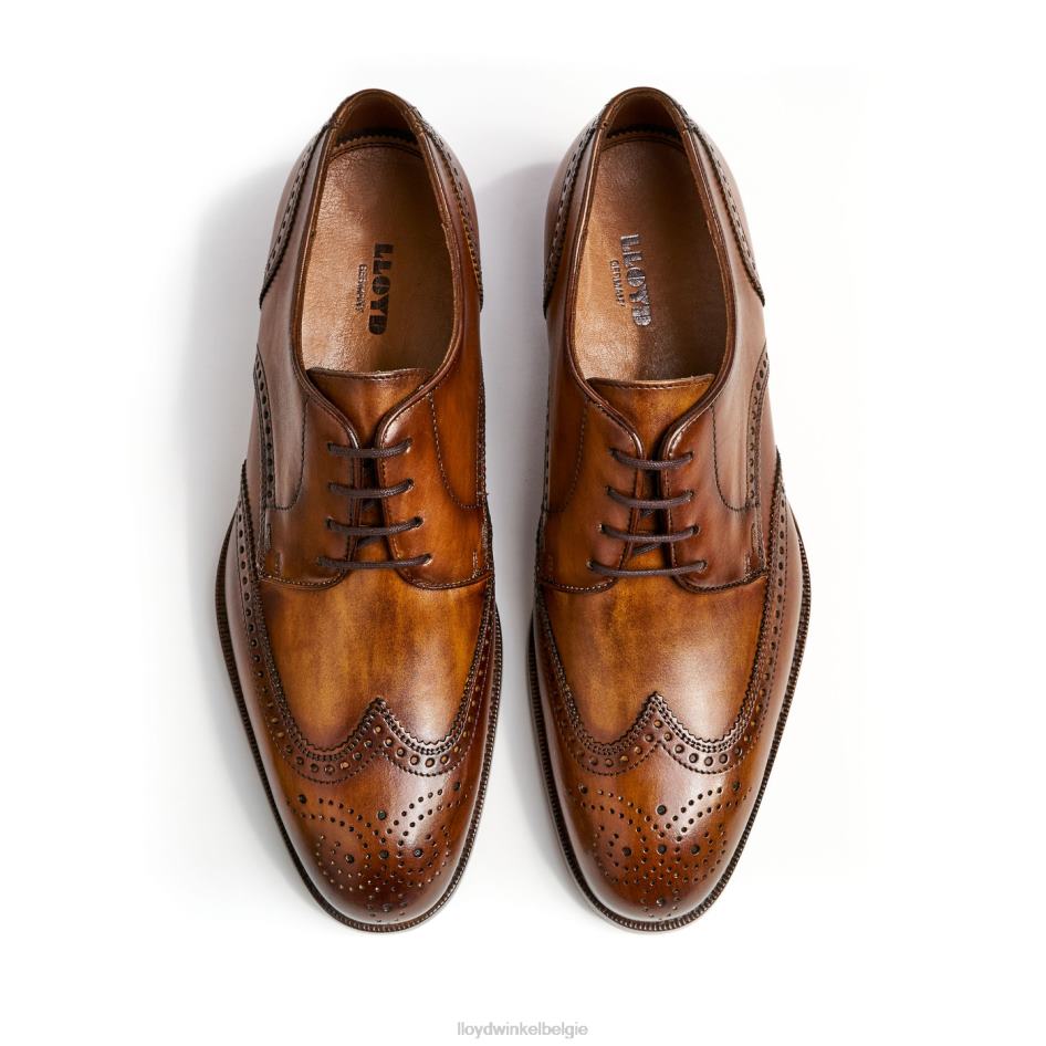 Sheridan Heren LLOYD bruin schoenen ZJ6BL205