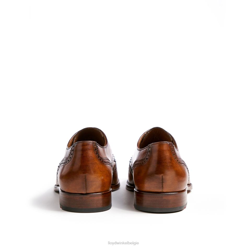 Sheridan Heren LLOYD bruin schoenen ZJ6BL205