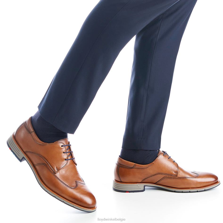 Taylor Heren LLOYD bruin schoenen ZJ6BL1325