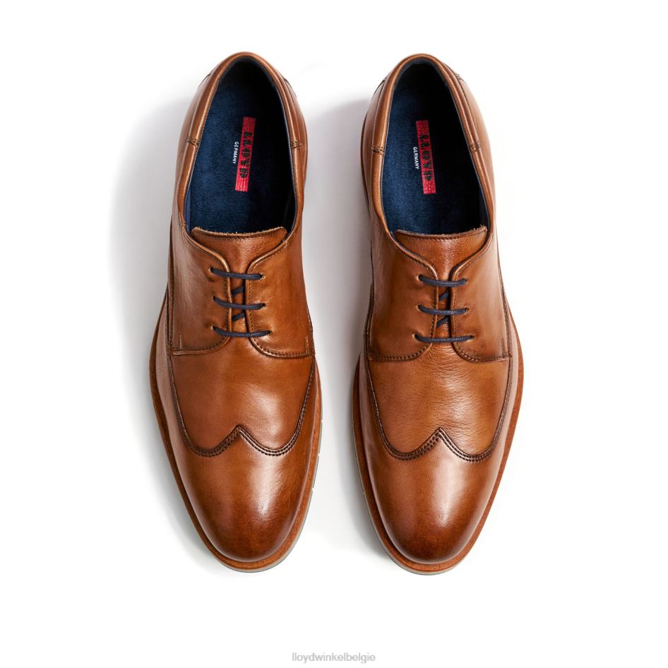 Taylor Heren LLOYD bruin schoenen ZJ6BL1325