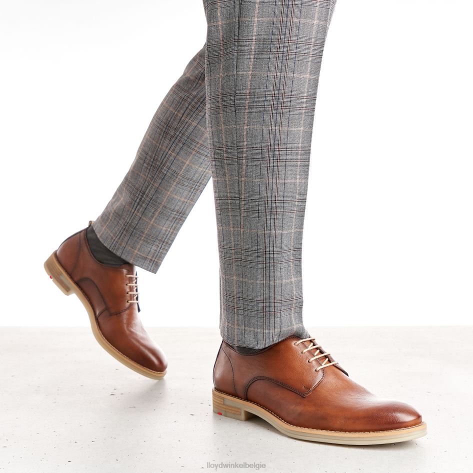 dakota Heren LLOYD bruin schoenen ZJ6BL608
