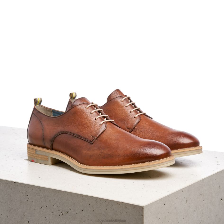 dakota Heren LLOYD bruin schoenen ZJ6BL608